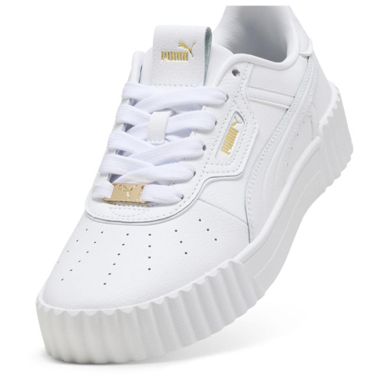 Puma Carina 3.0 Luxe Puma Carina 3.0 Luxe